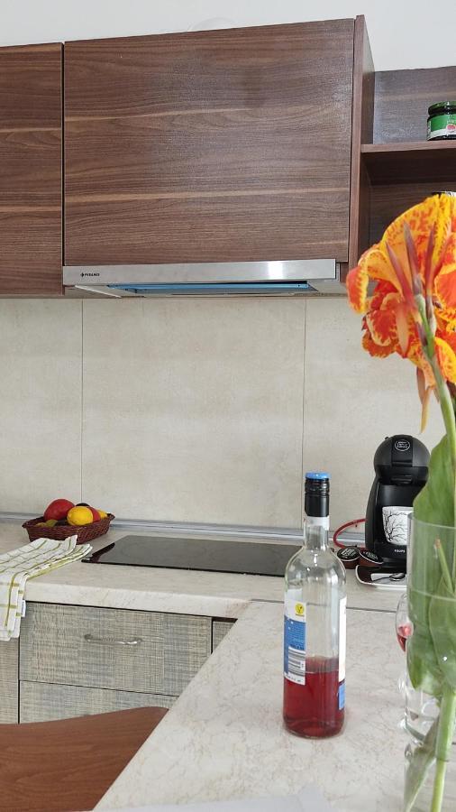 Iris Home 4 Паралія-Катерініс Екстер'єр фото